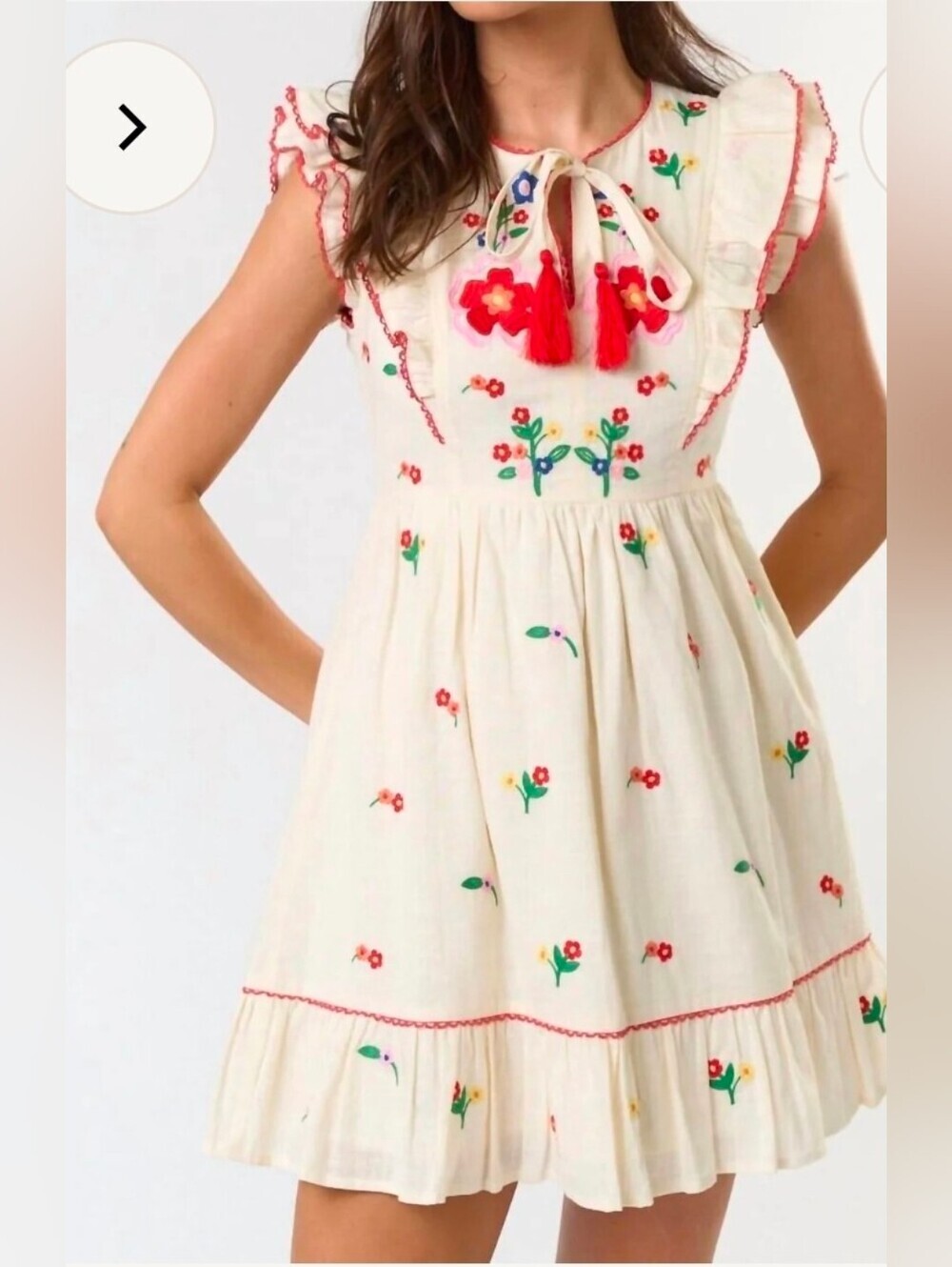 Lalavon Sophia Ruffle Sleeve Embroidered Boho Minidress, Xs